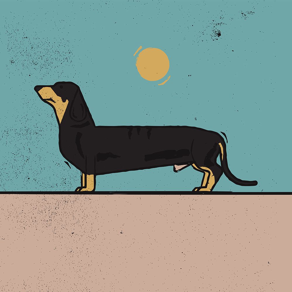 Dachshund art print by Vision Grasp Art for $57.95 CAD