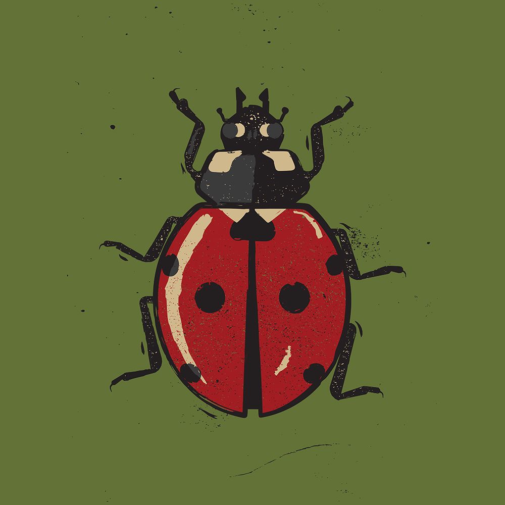 Ladybug art print by Vision Grasp Art for $57.95 CAD
