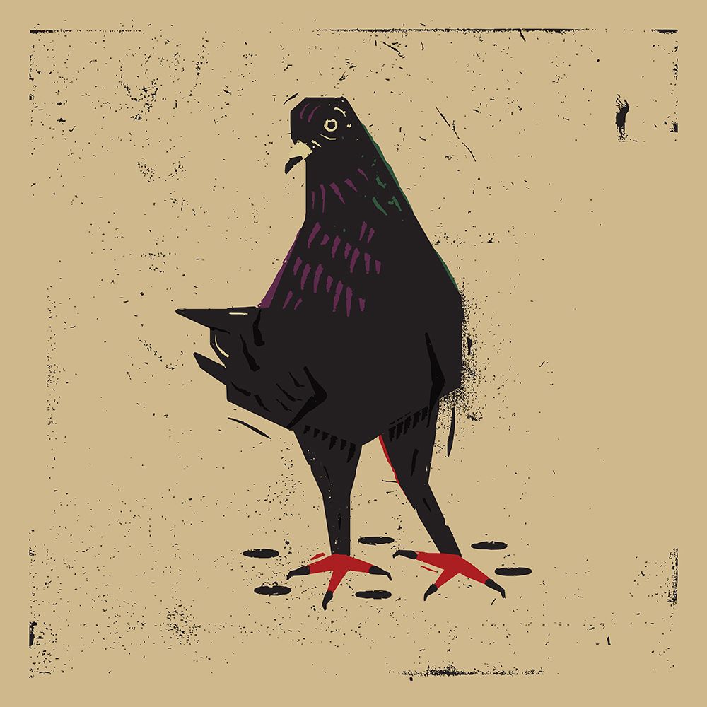 Pigeon art print by Vision Grasp Art for $57.95 CAD