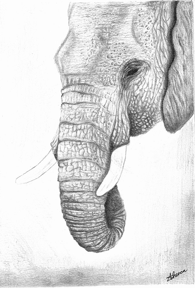 Giant art print by Sunet Theron for $57.95 CAD