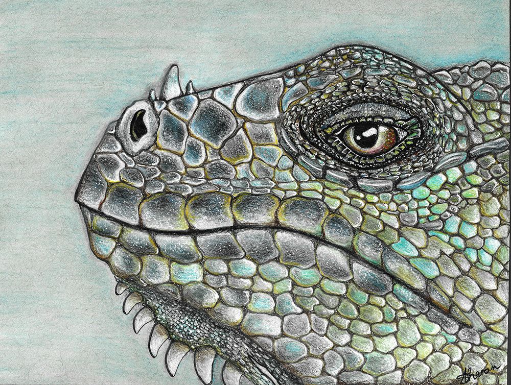 In The Eyes Of The Beholder art print by Sunet Theron for $57.95 CAD