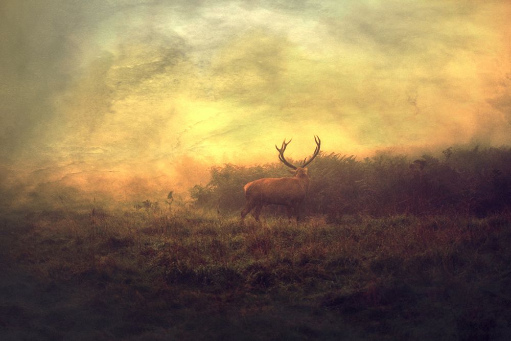 Autumn Is Coming... art print by Robert Fabrowski for $57.95 CAD