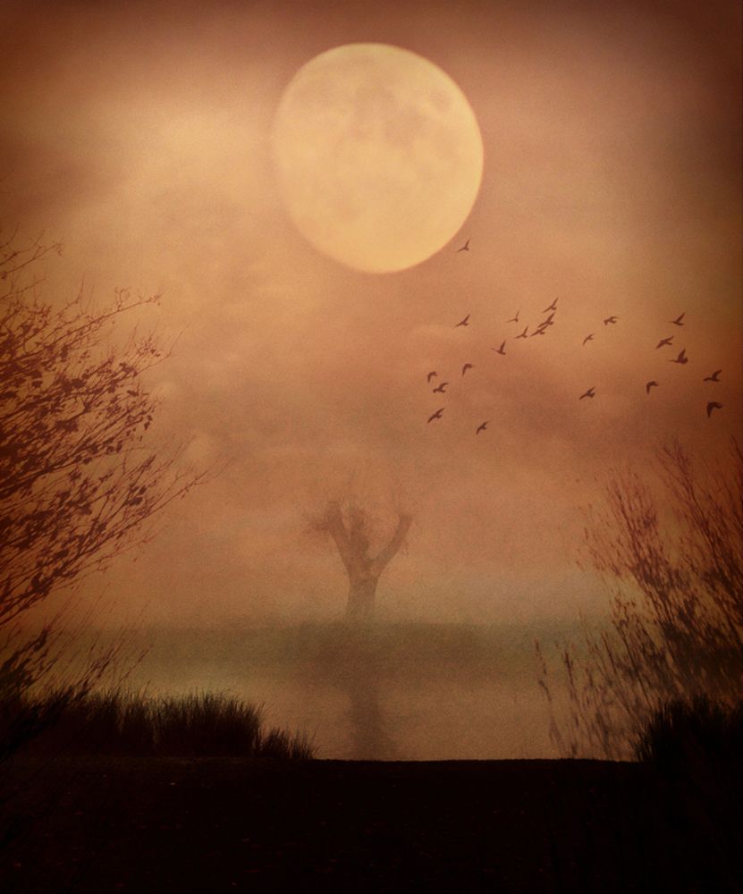 Some Time After... art print by Robert Fabrowski for $57.95 CAD