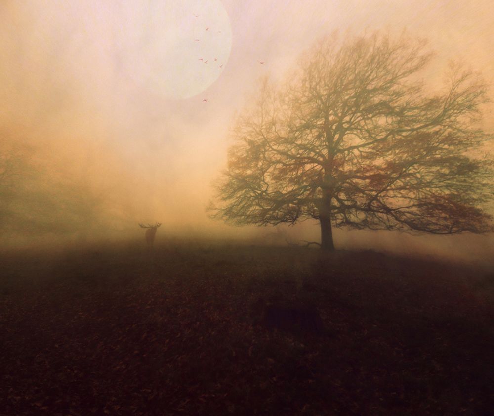 Autumn Is Coming... art print by Robert Fabrowski for $57.95 CAD