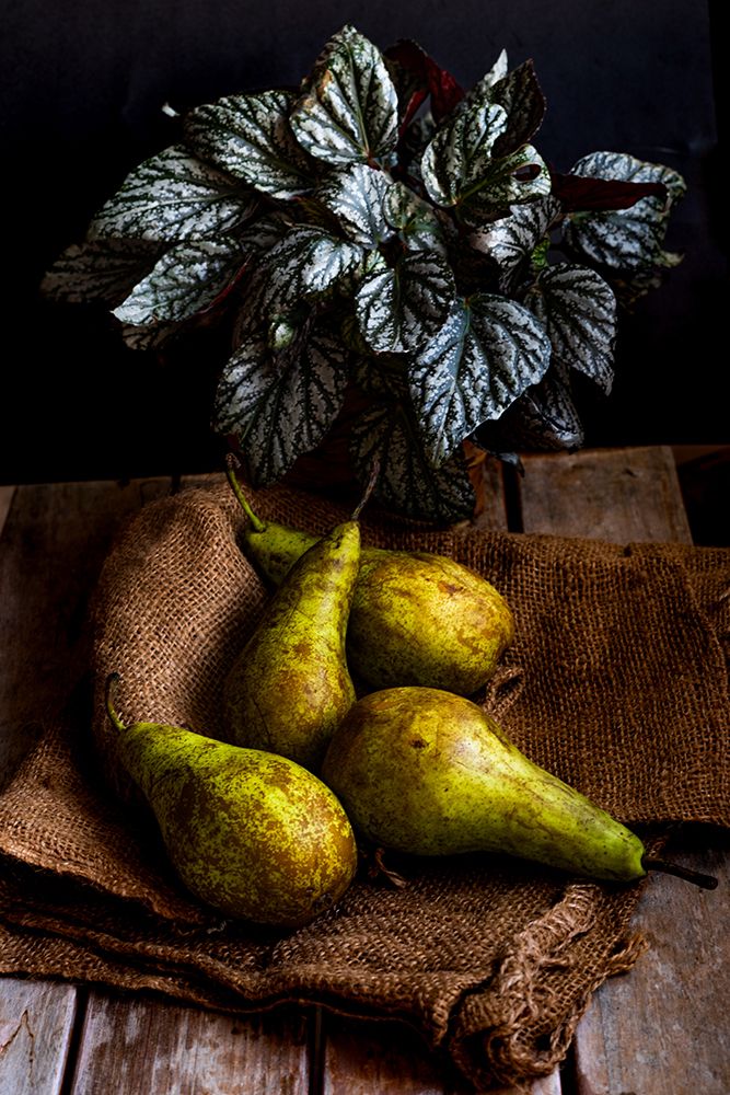 Pears art print by Marija Kordic for $57.95 CAD