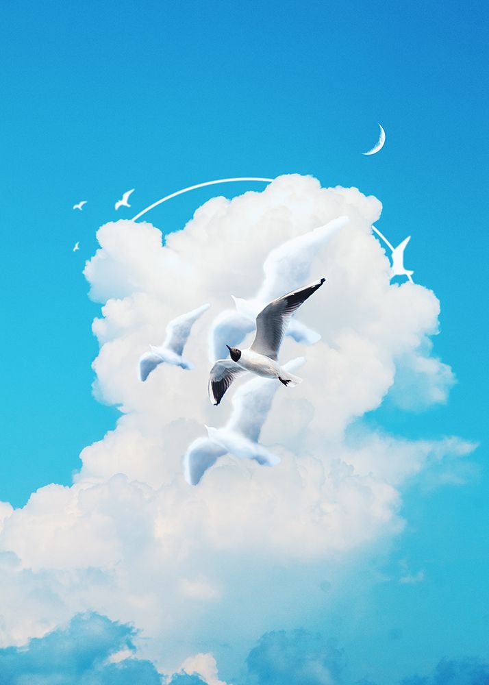 Fly Free Birds Cloud art print by Al Barizi for $57.95 CAD