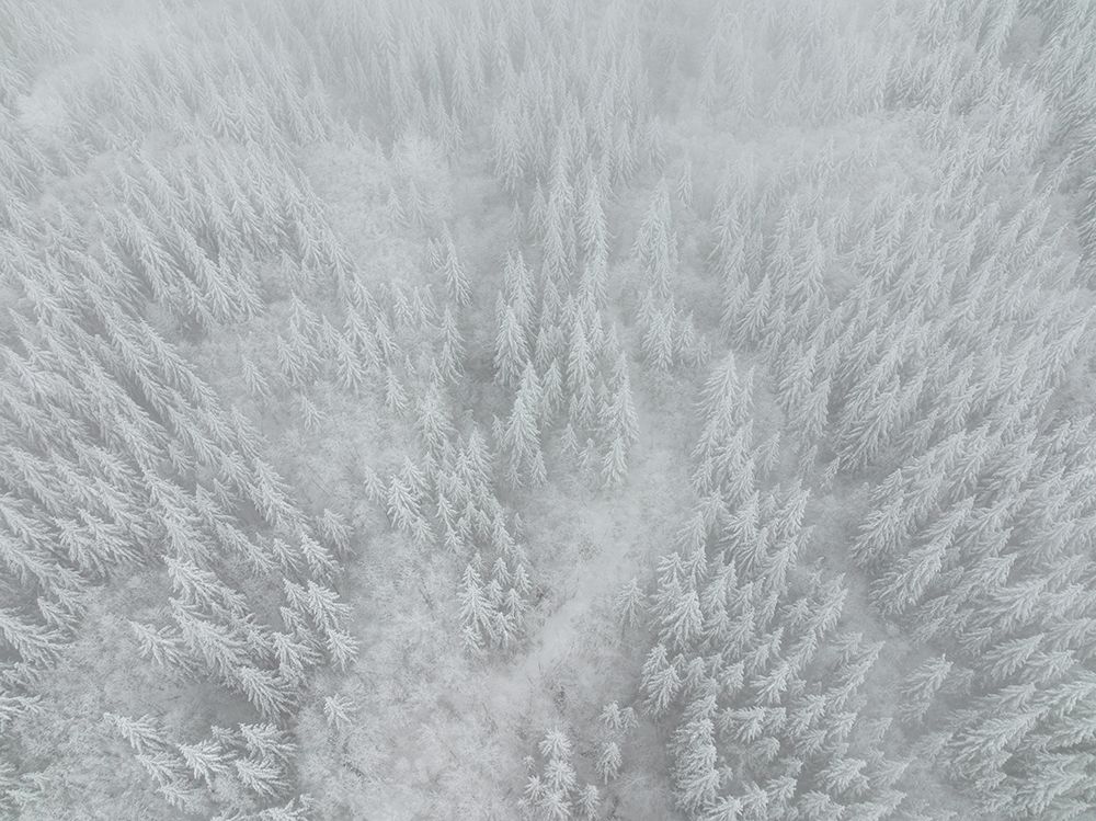 White Out art print by Gerald Macua for $57.95 CAD