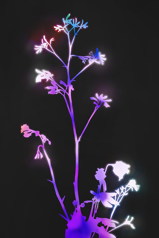 Florescence Purple Flowers art print by Amini54 for $57.95 CAD