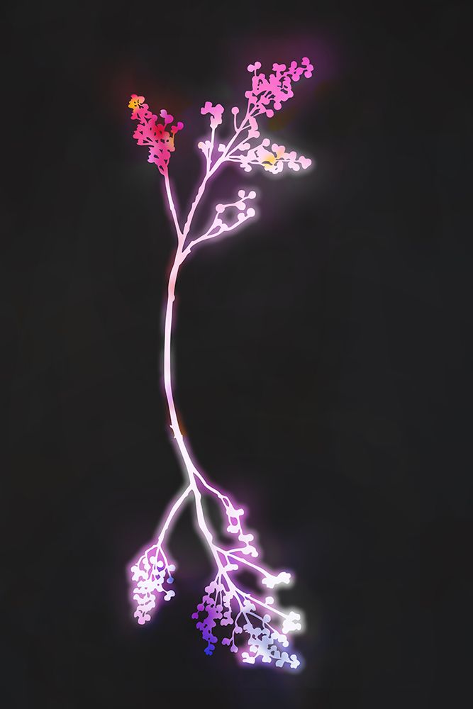 Florescence Fuschia Flowers art print by Amini54 for $57.95 CAD
