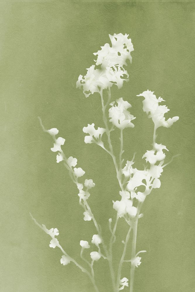 Monograph Green Flowers art print by Amini54 for $57.95 CAD