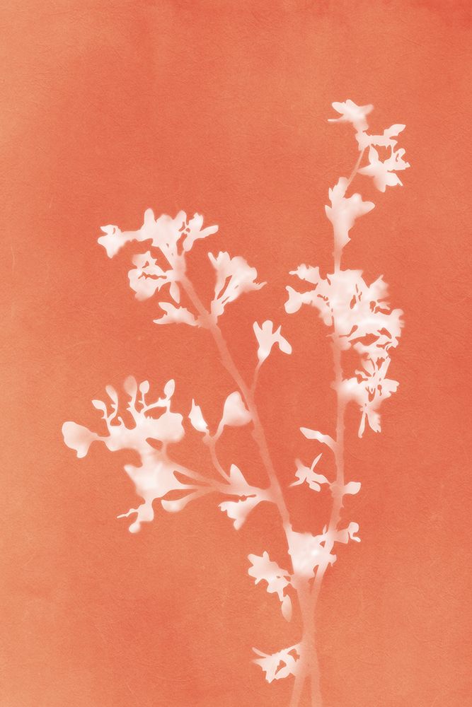 Monograph Orange Flowers art print by Amini54 for $57.95 CAD