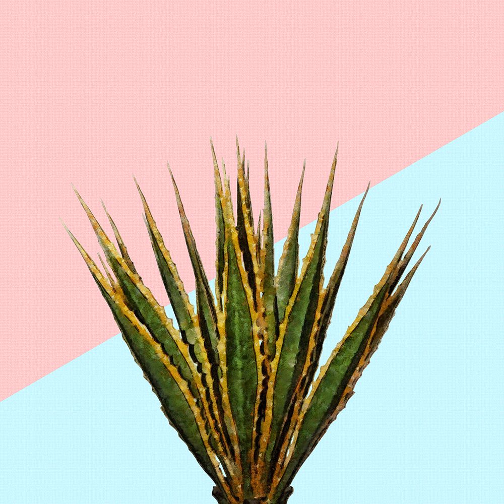 Agave 01 art print by Amini54 for $57.95 CAD
