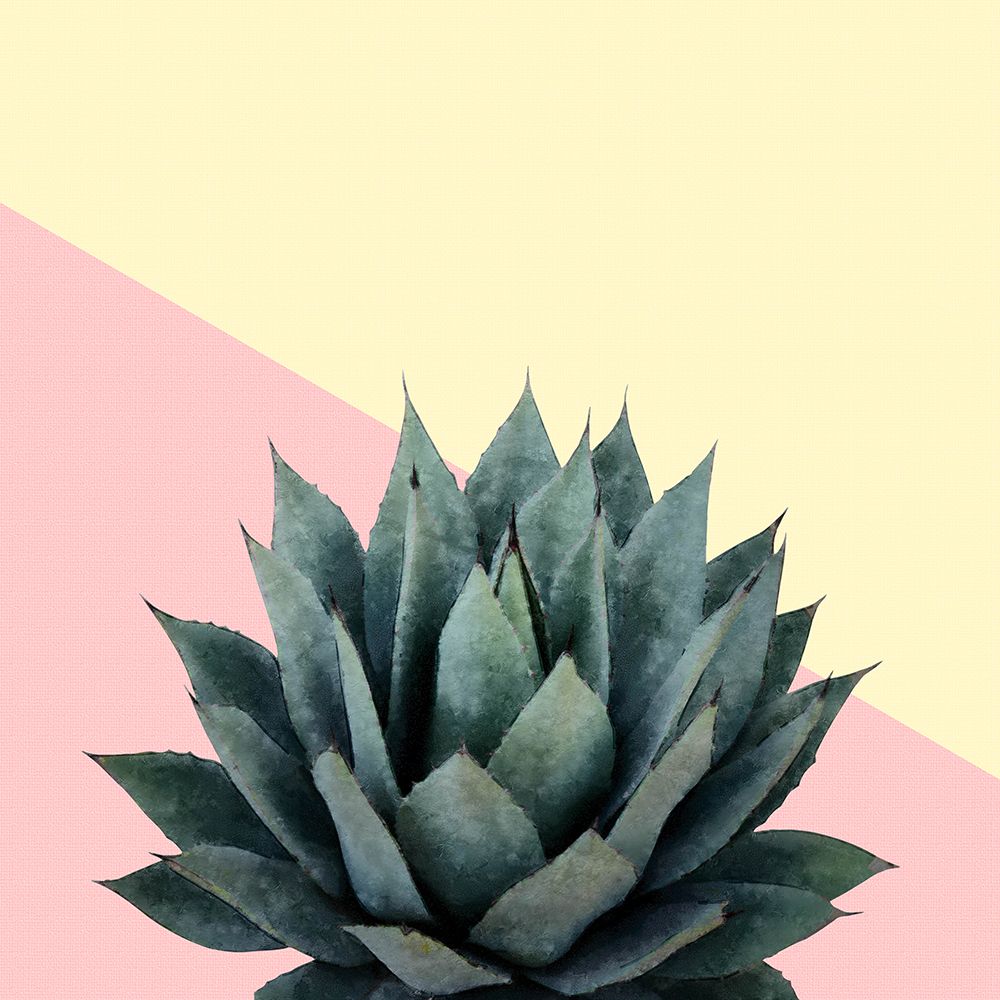Agave 04 art print by Amini54 for $57.95 CAD