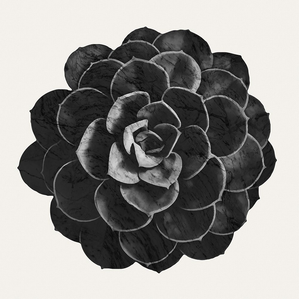 Succulent 06 art print by Amini54 for $57.95 CAD