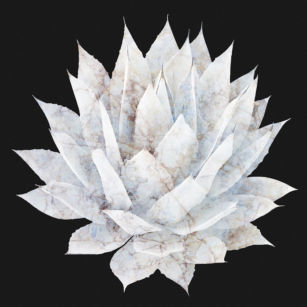 Agave 05 art print by Amini54 for $57.95 CAD