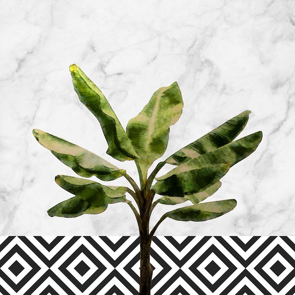 Banana Tree On Checkered Wall art print by Amini54 for $57.95 CAD