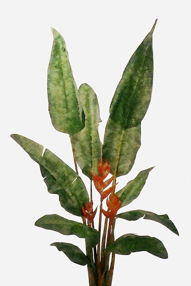 Bird Of Paradise Plant On White Wall art print by Amini54 for $57.95 CAD