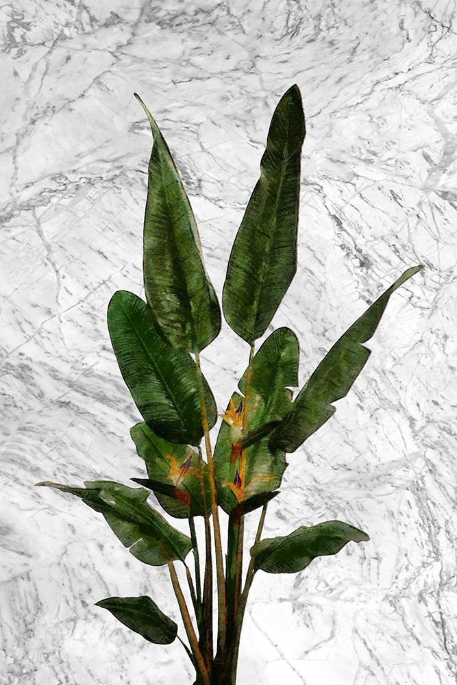 Bird Of Paradise Plant On Marble Wall art print by Amini54 for $57.95 CAD