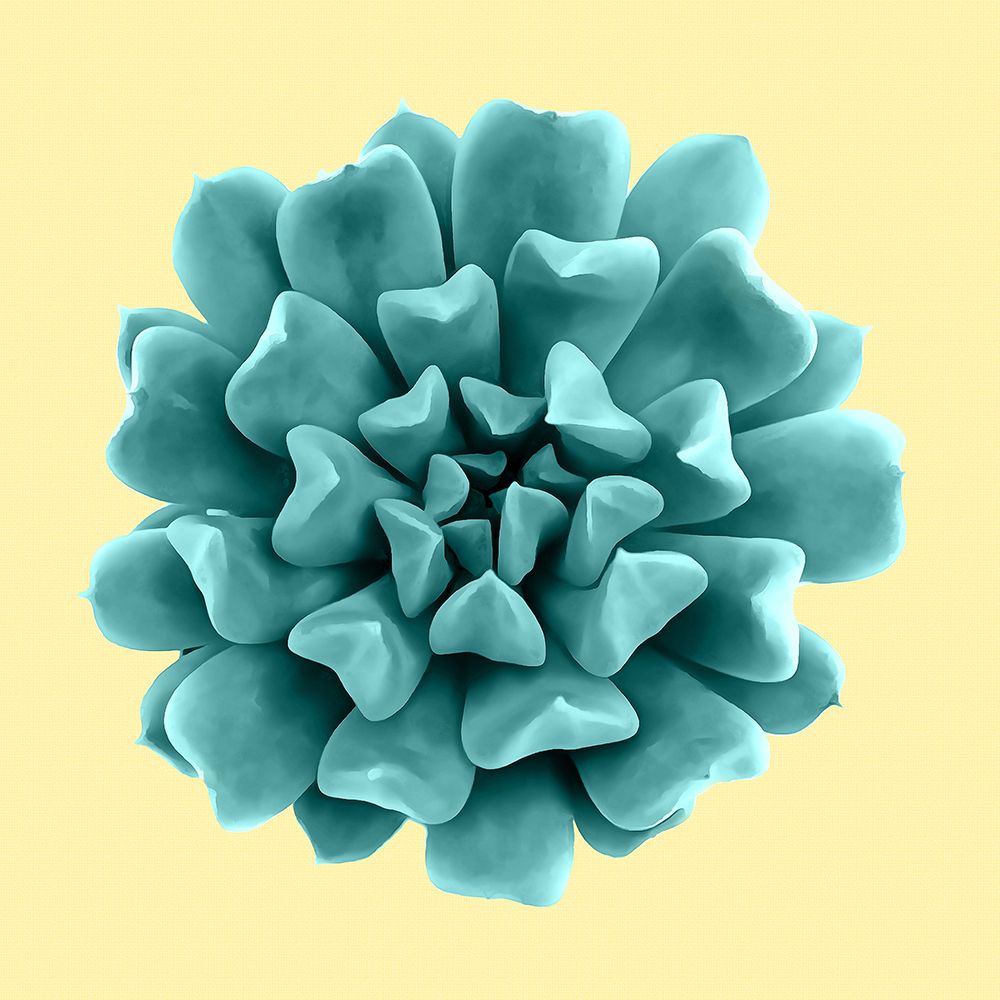 Teal Succulents On Yellow art print by Amini54 for $57.95 CAD