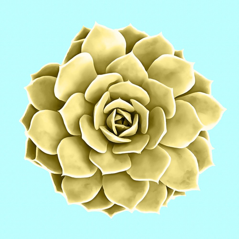 Yellow Succulents On Teal art print by Amini54 for $57.95 CAD