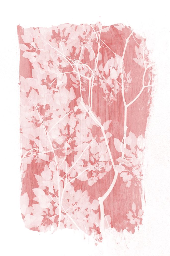 Pink Tree Foliage Silhouette art print by Amini54 for $57.95 CAD