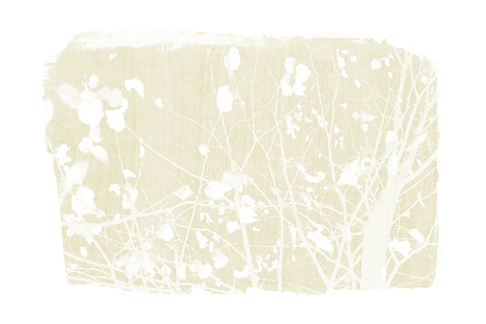 Ivory Tree Foliage Silhouette art print by Amini54 for $57.95 CAD