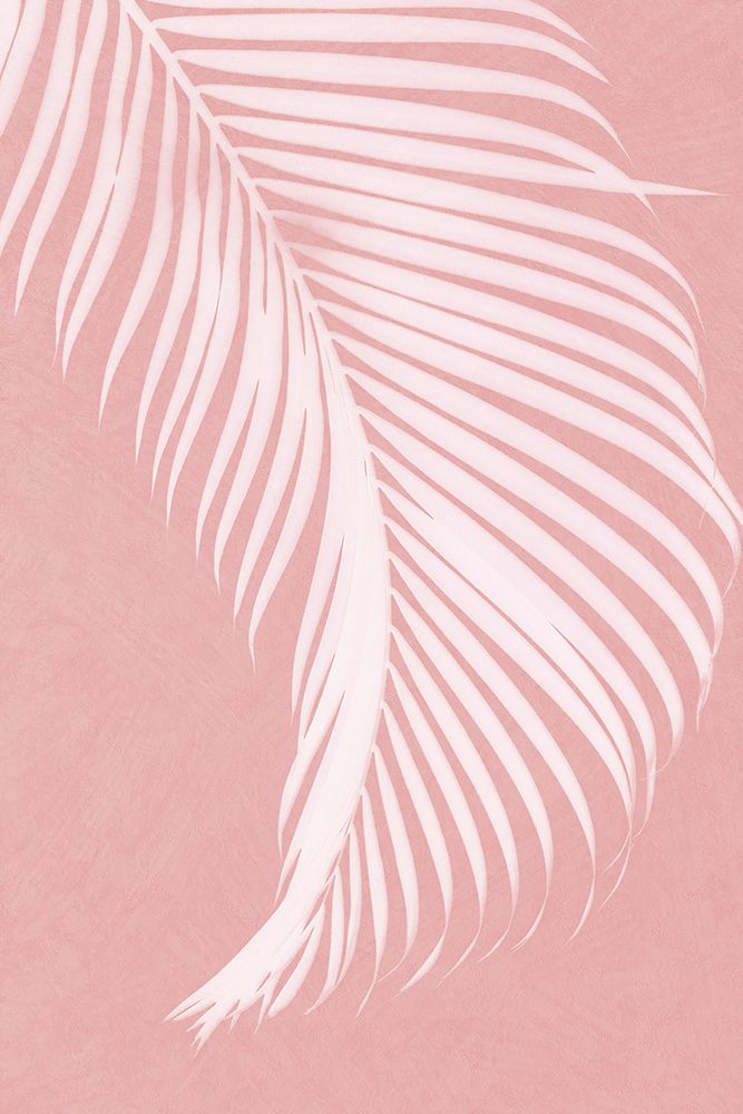 Palm Leaves On Pink Silhouette I art print by Amini54 for $57.95 CAD