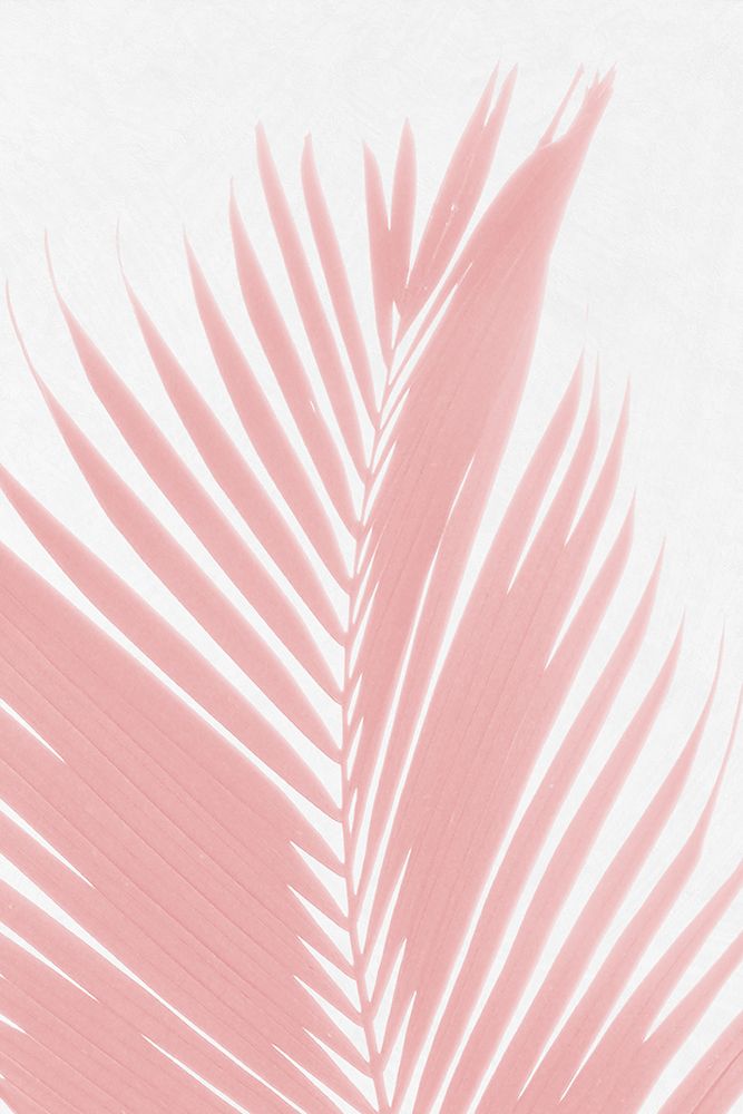 Pink Palm Leaves Silhouette art print by Amini54 for $57.95 CAD