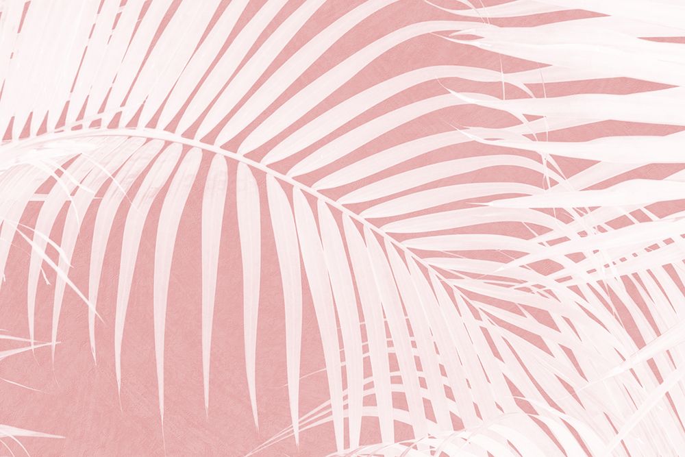 Palm Leaves On Pink Silhouette Iv art print by Amini54 for $57.95 CAD