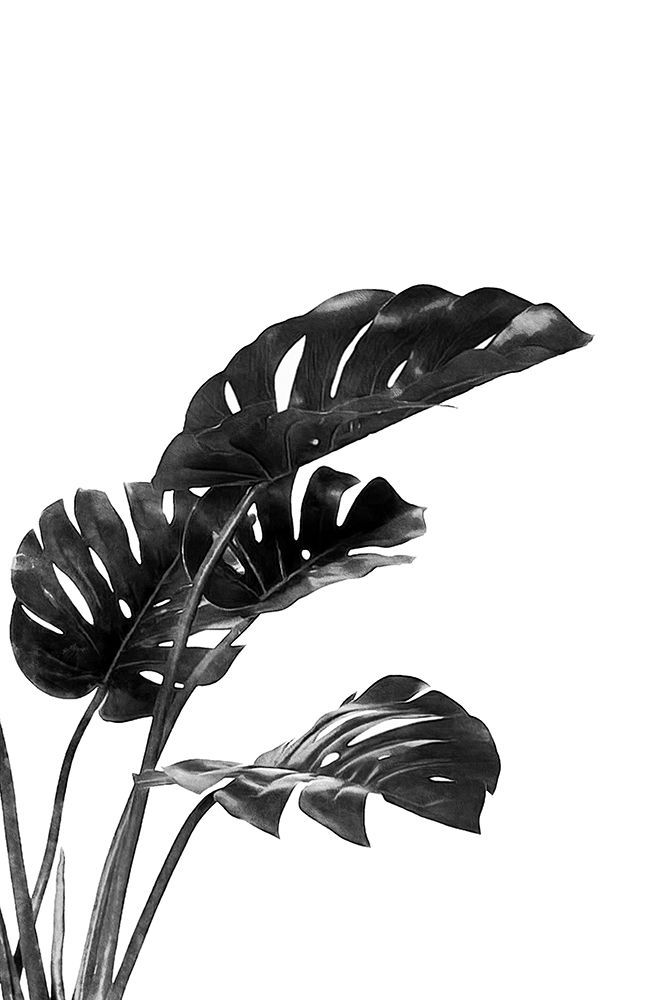 Monstera Black And White 03 art print by Amini54 for $57.95 CAD