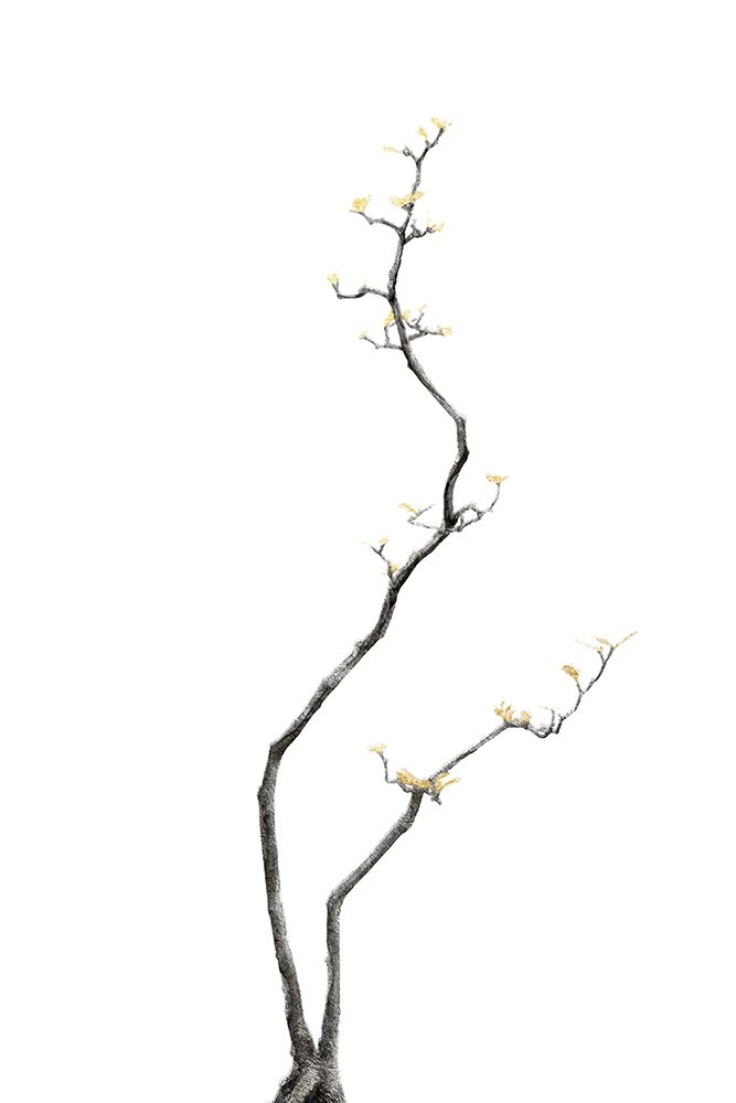 Bonsai Tree 03 art print by Amini54 for $57.95 CAD