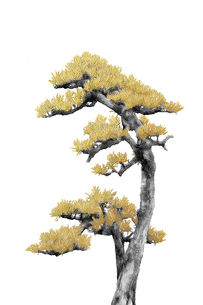 Bonsai Tree 04 art print by Amini54 for $57.95 CAD