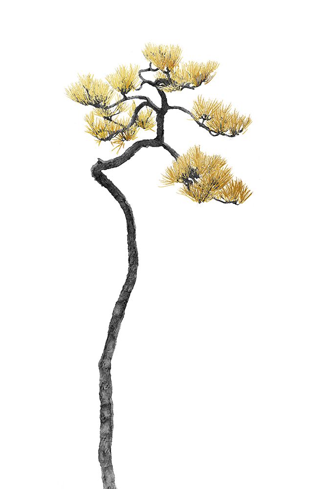 Bonsai Tree 05 art print by Amini54 for $57.95 CAD