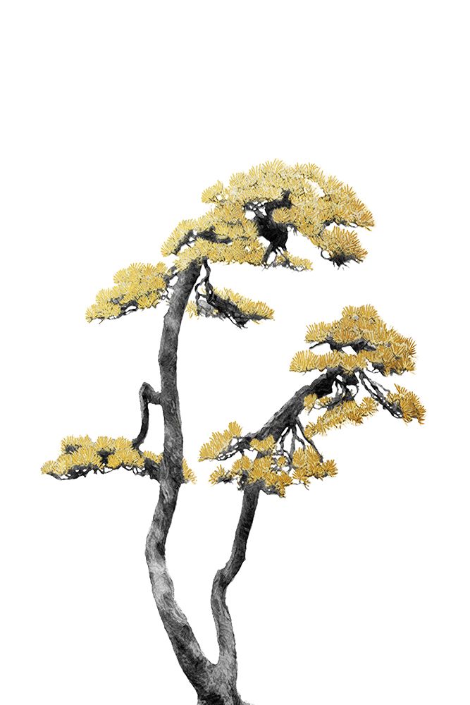 Bonsai Tree 06 art print by Amini54 for $57.95 CAD