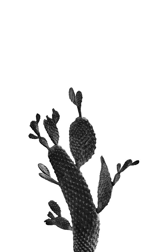 Cactus Black And White 02 art print by Amini54 for $57.95 CAD
