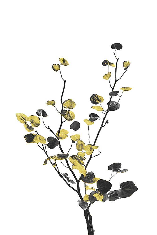 Flower Minimal Black And Gold 07 art print by Amini54 for $57.95 CAD