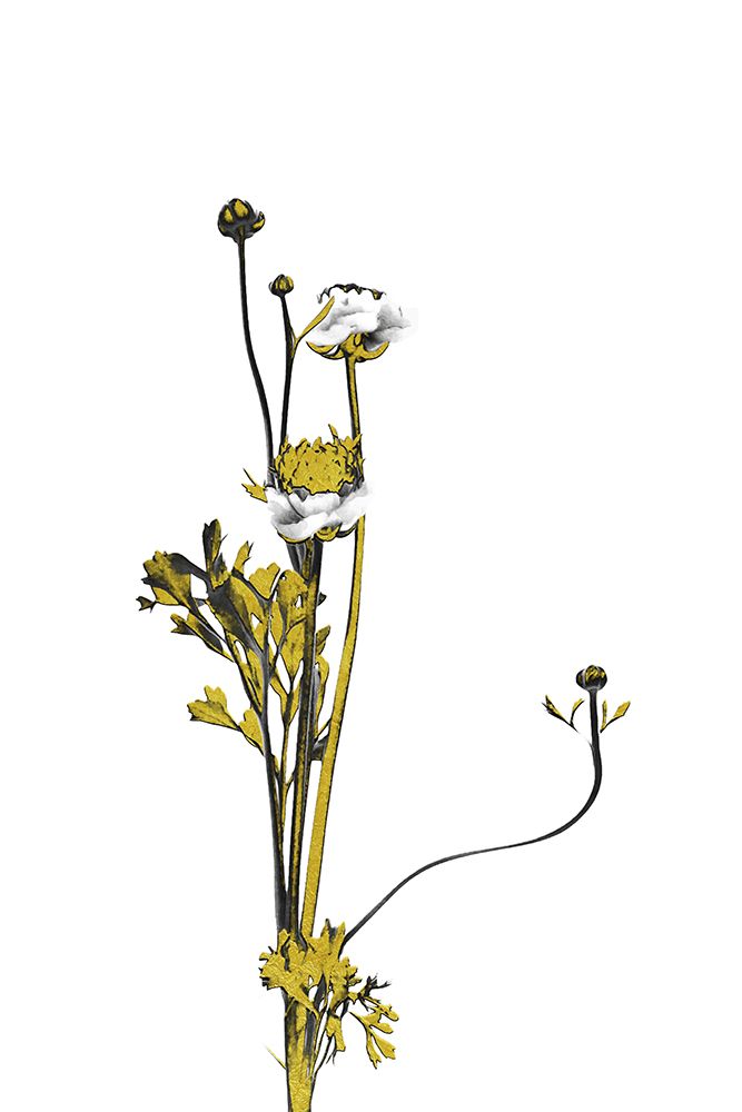 Flower Minimal Black And Gold 08 art print by Amini54 for $57.95 CAD