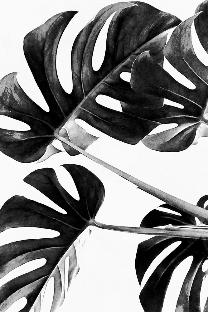 Monstera Black And White 05 art print by Amini54 for $57.95 CAD