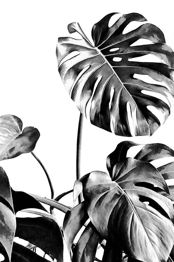 Monstera Black And White 07 art print by Amini54 for $57.95 CAD