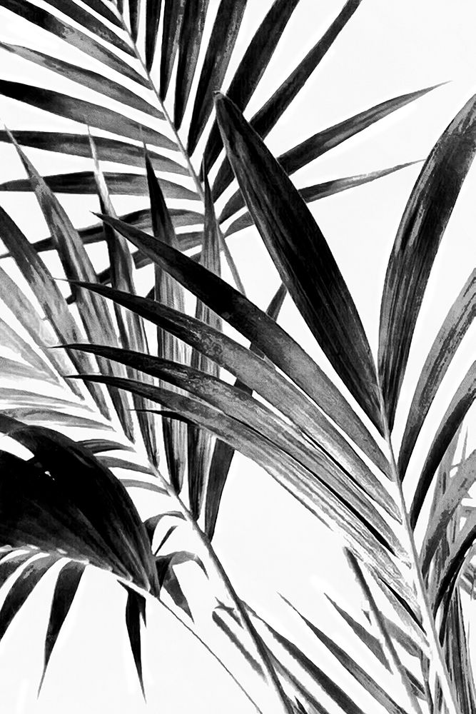 Palm Leaves Black And White 02 art print by Amini54 for $57.95 CAD