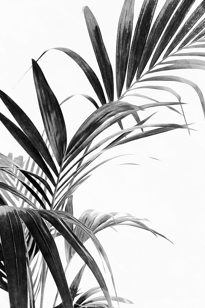 Palm Leaves Black And White 03 art print by Amini54 for $57.95 CAD