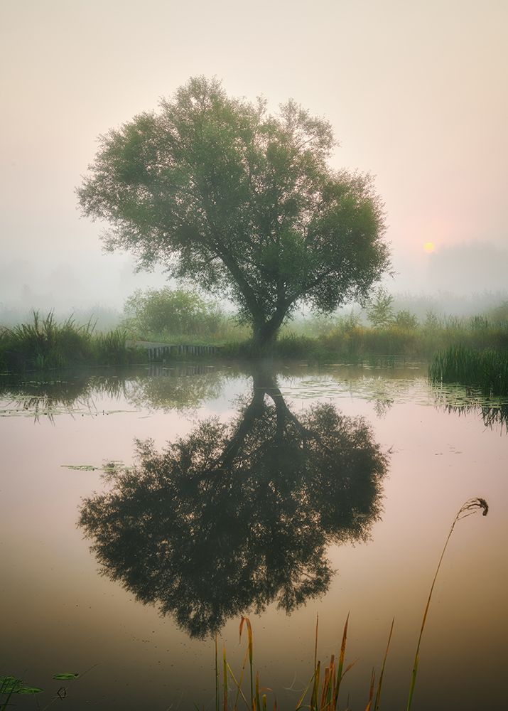 Waiting For Autumn art print by Pawel Kado for $57.95 CAD