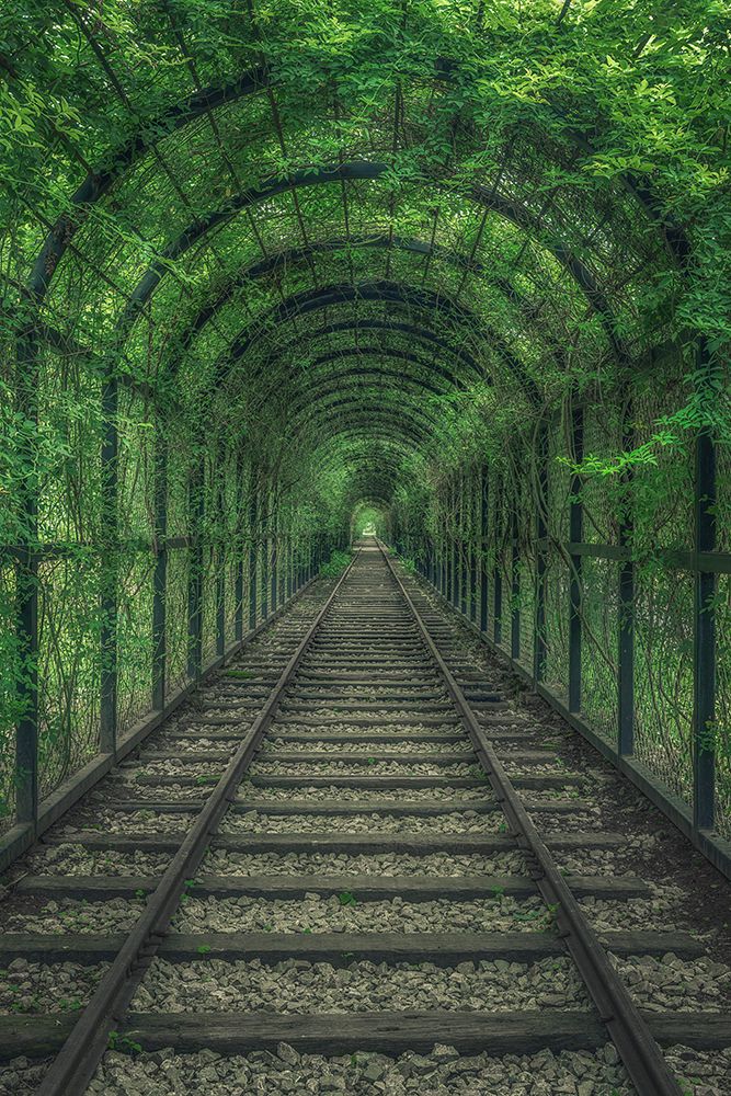 Green Tunnel art print by Mei Xu for $57.95 CAD