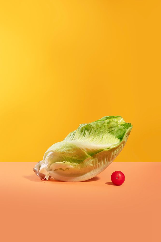 Lettuce art print by Julia Ramiro for $57.95 CAD