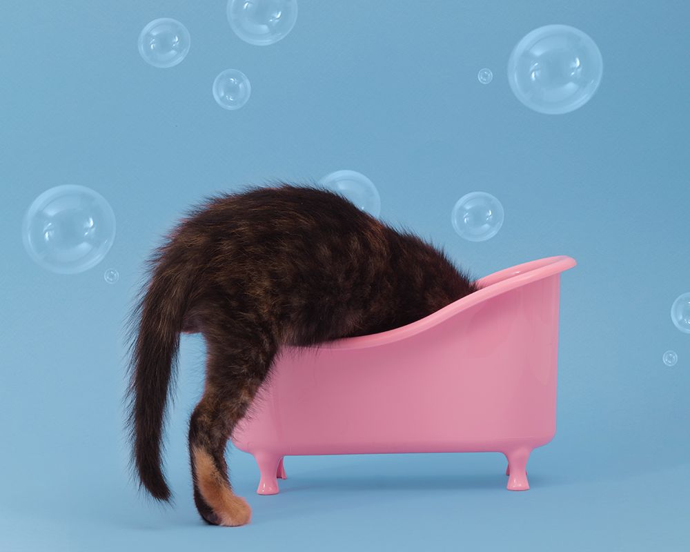 Bath Time4 5 art print by Julia Ramiro for $57.95 CAD