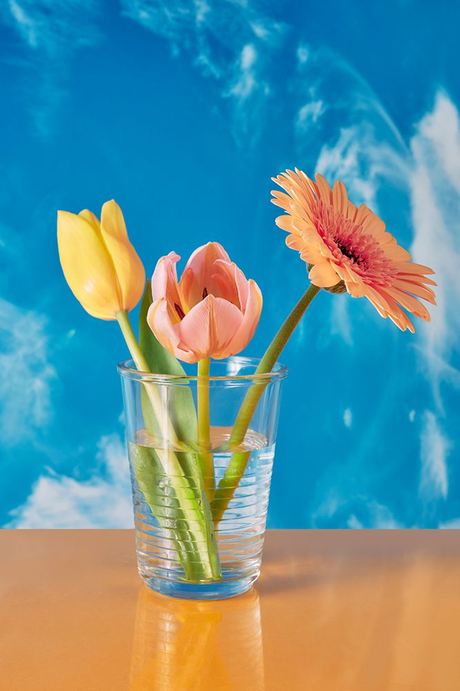 Freepik Sacolei├é∩┐╜ art print by Julia Ramiro for $57.95 CAD