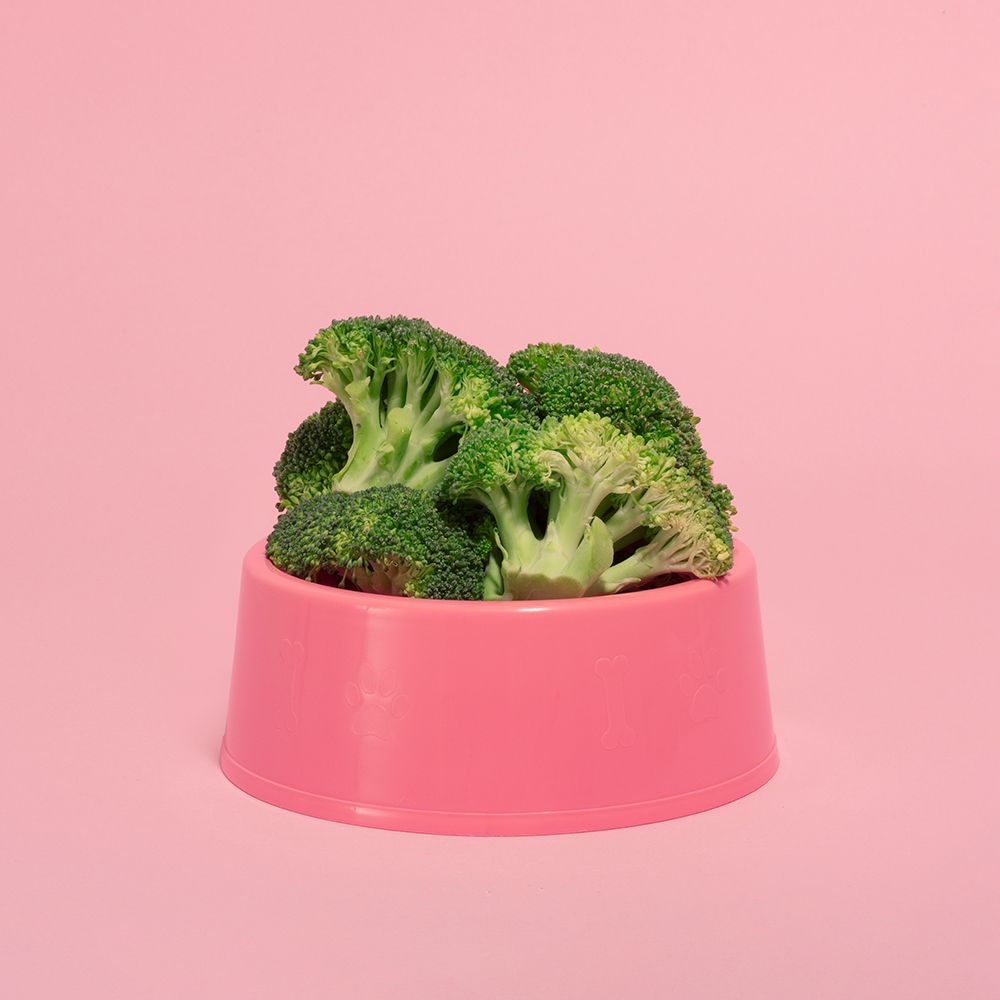 Broi├é∩┐╜Coli.1 art print by Julia Ramiro for $57.95 CAD