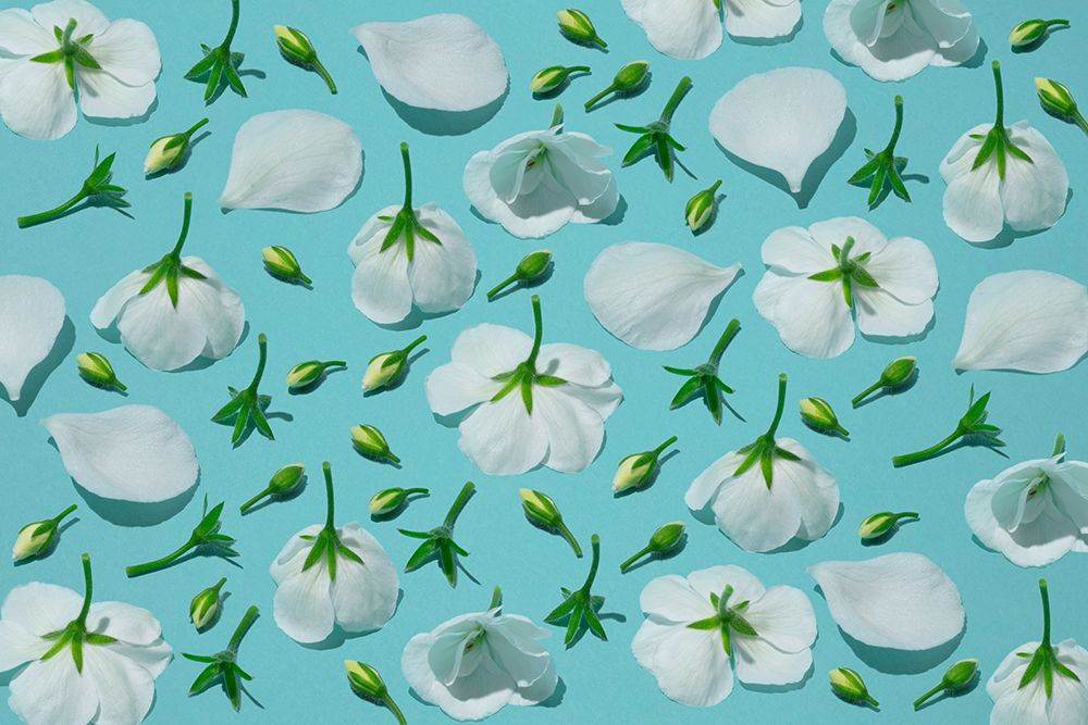 Flores Blancas art print by Julia Ramiro for $57.95 CAD