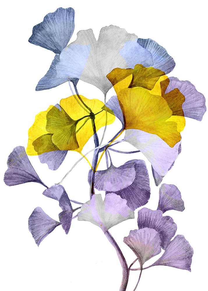 Ginko Biloba 1 art print by Justyna Jaszke for $57.95 CAD