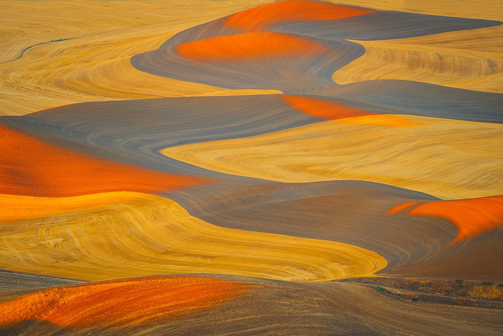 Painted Land art print by Mei Shi for $57.95 CAD